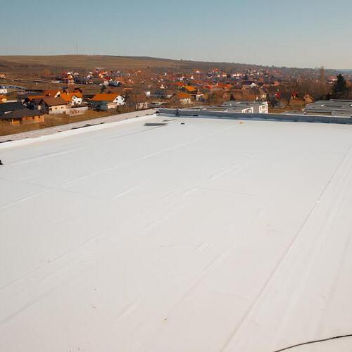silicone roof