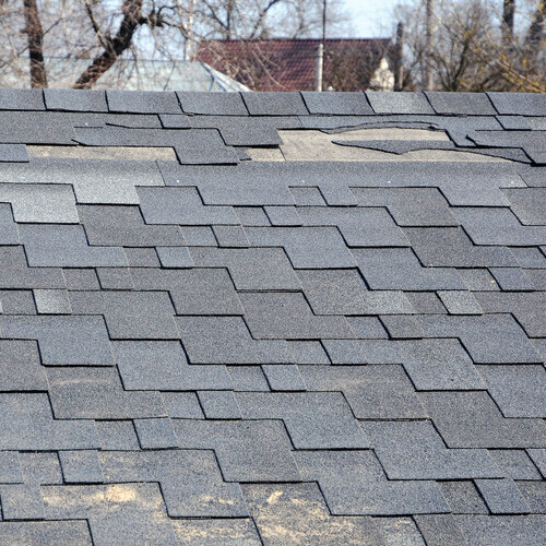 shingles damaged by wind